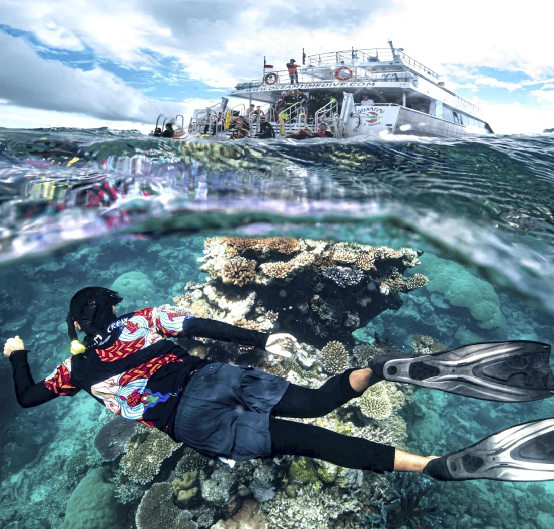 Dreamtime Snorkel