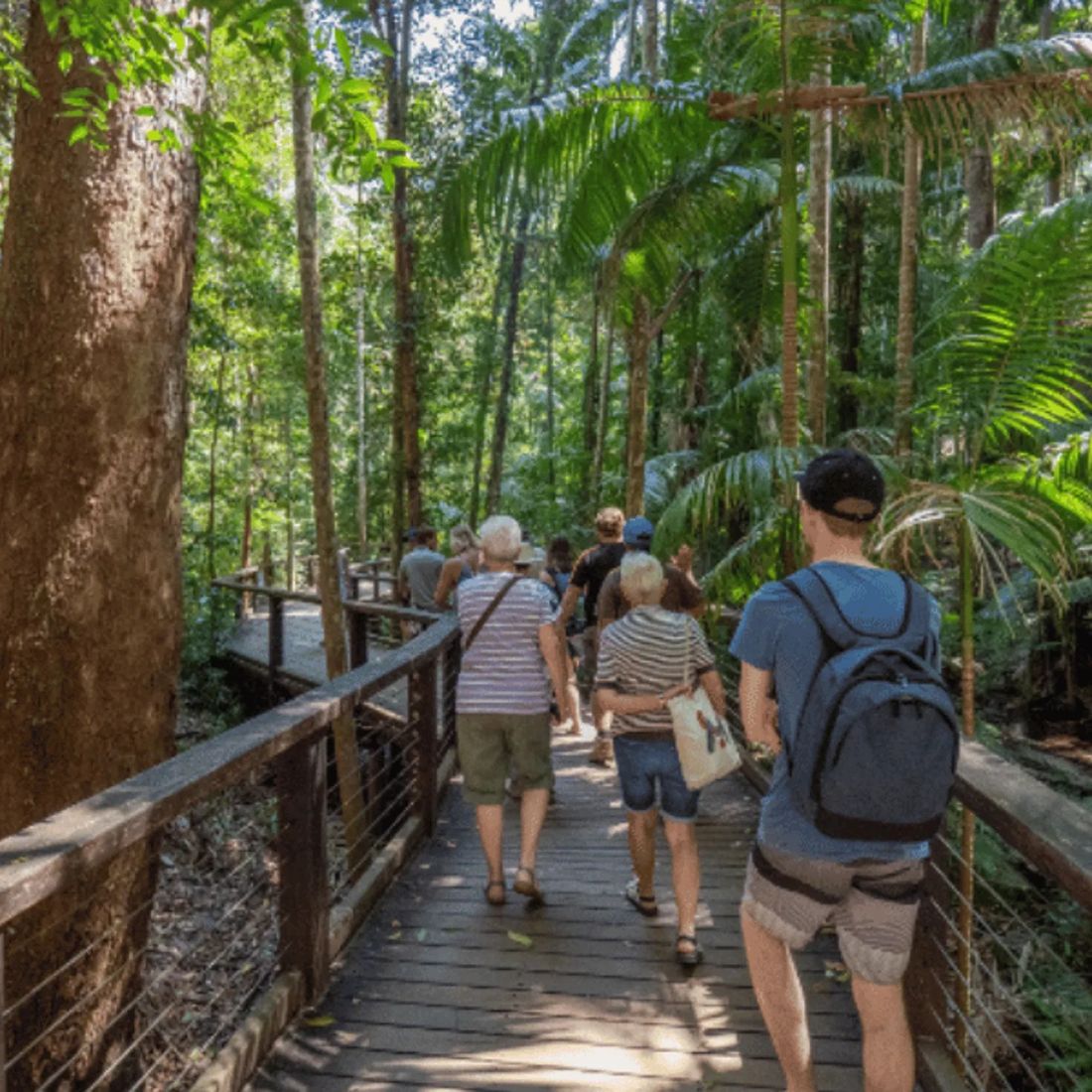 K'gari Day Tour from Rainbow Beach or Noosa