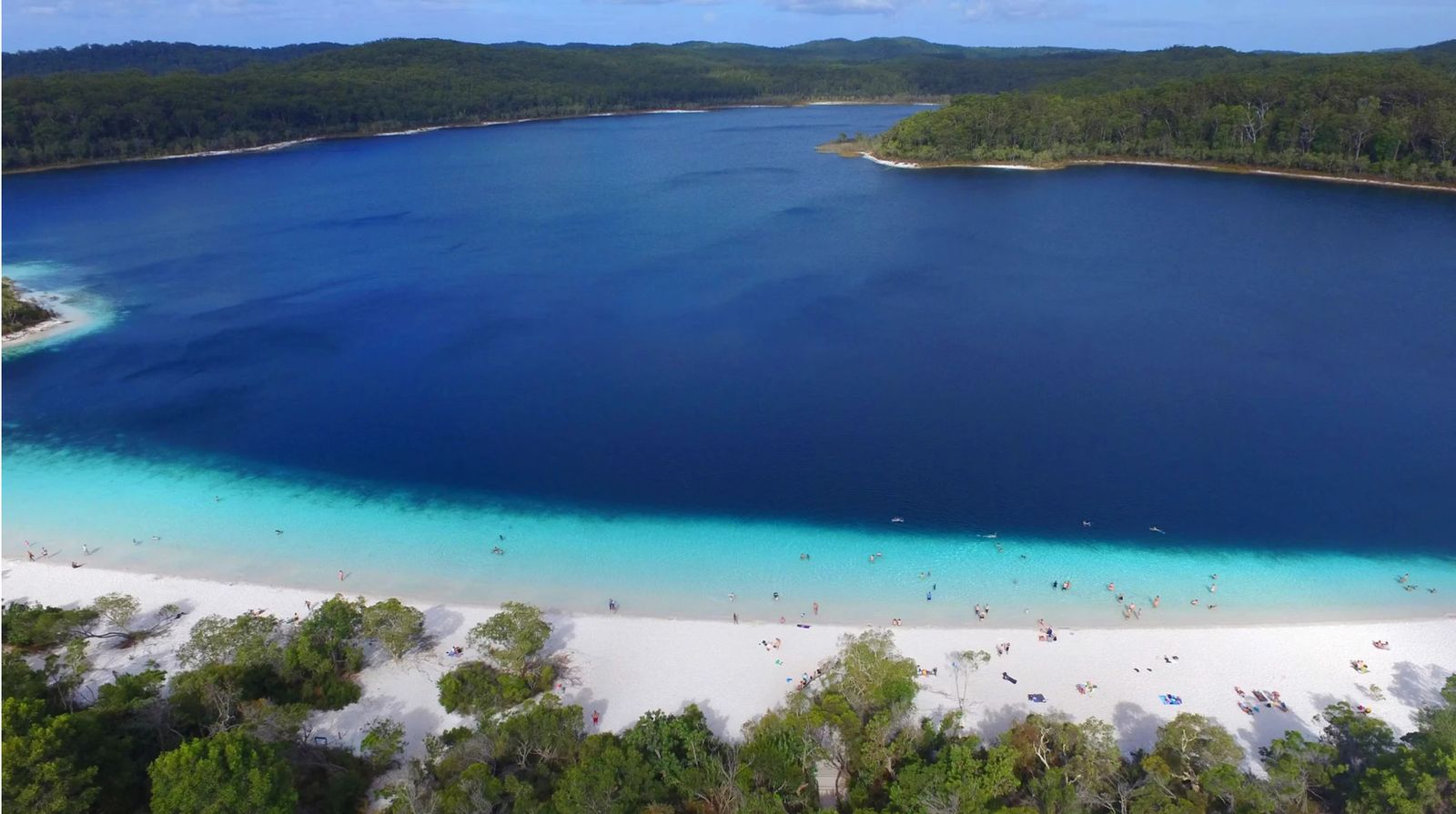 Aerial view of Lake McKenzie on K'gari, deep blue water shading to pale turquoise at a white sand beach