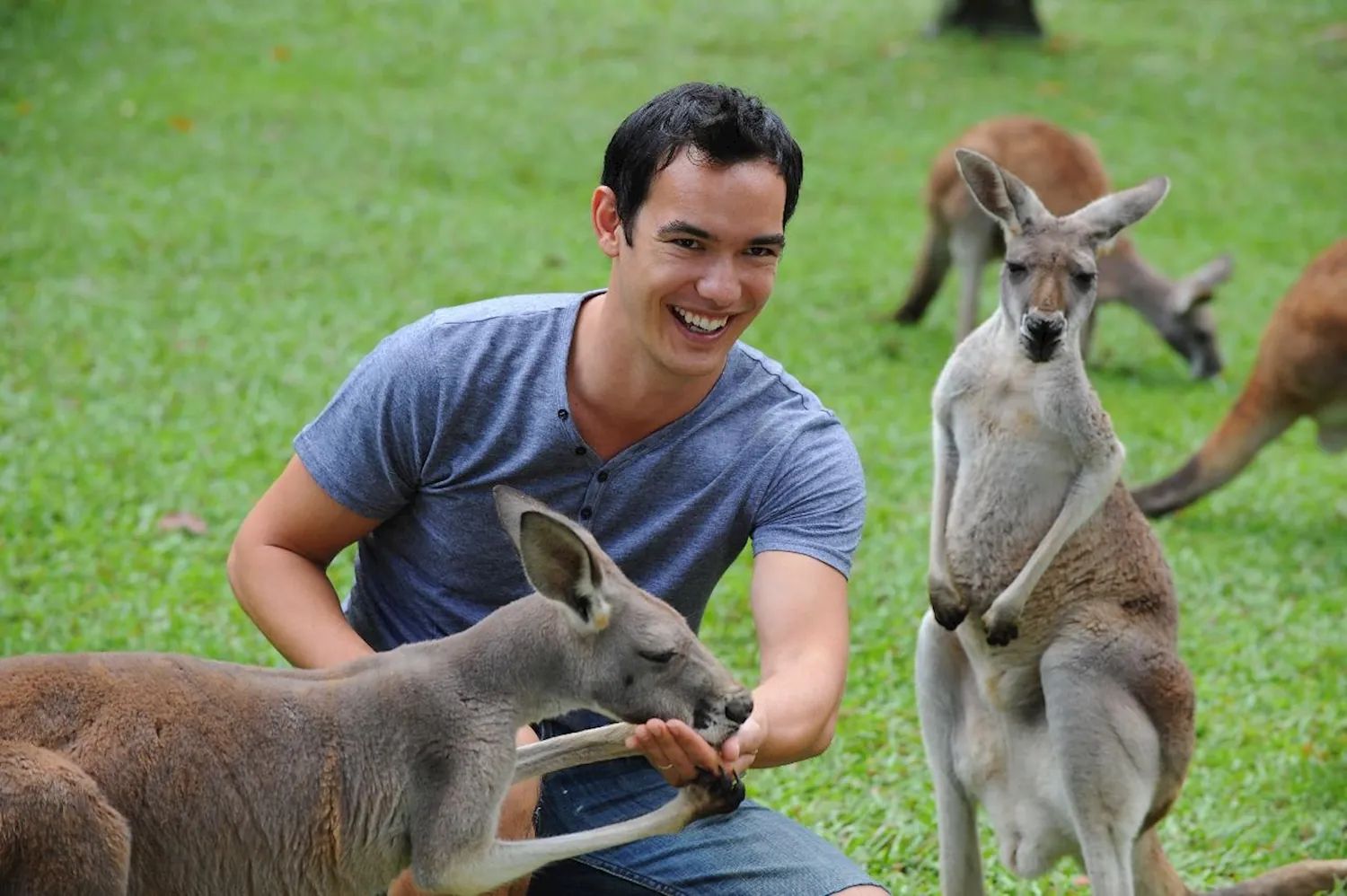 A smiling man crouching on the grass hand-feeding a kangaroo, with more kangaroos behind him at Australia Zoo