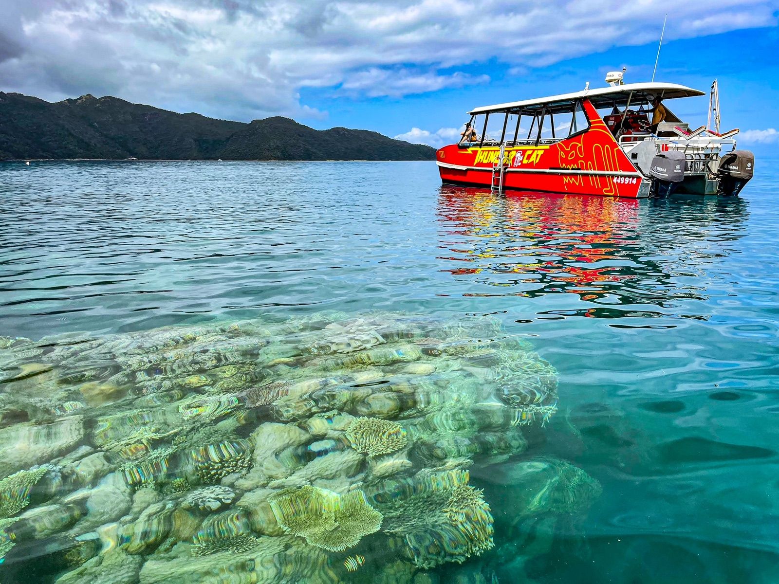 A reef tour boat moored beside a coral bommie