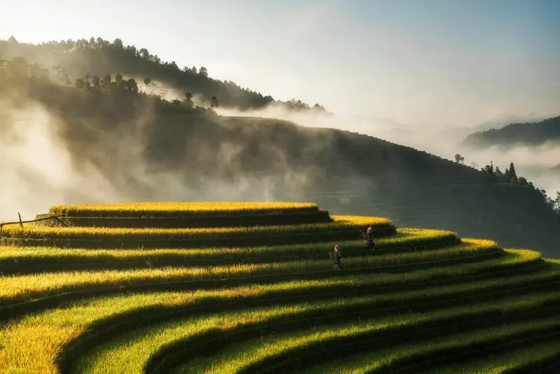 Vietnam