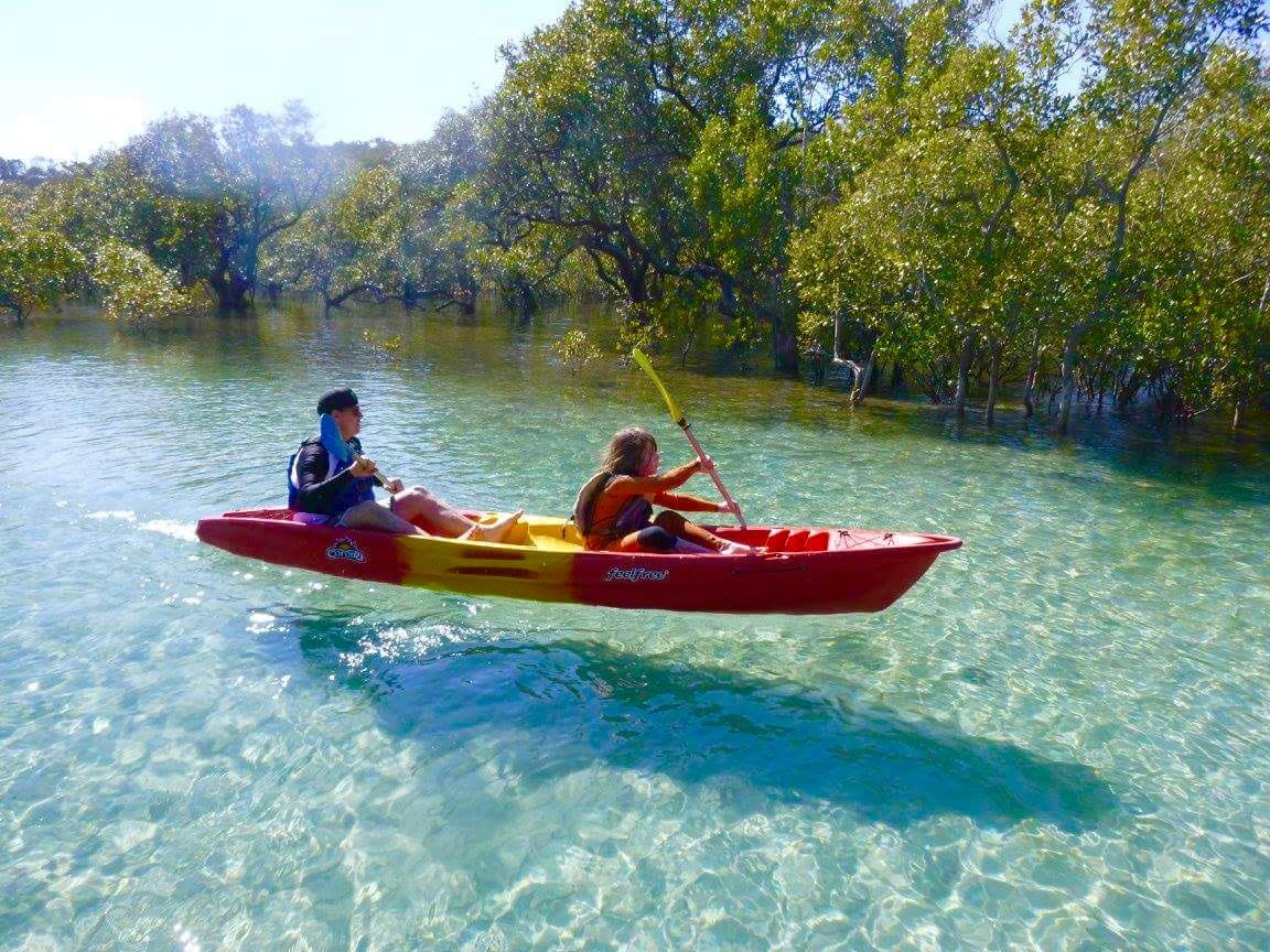 Brunswick River Nature Kayak Tour