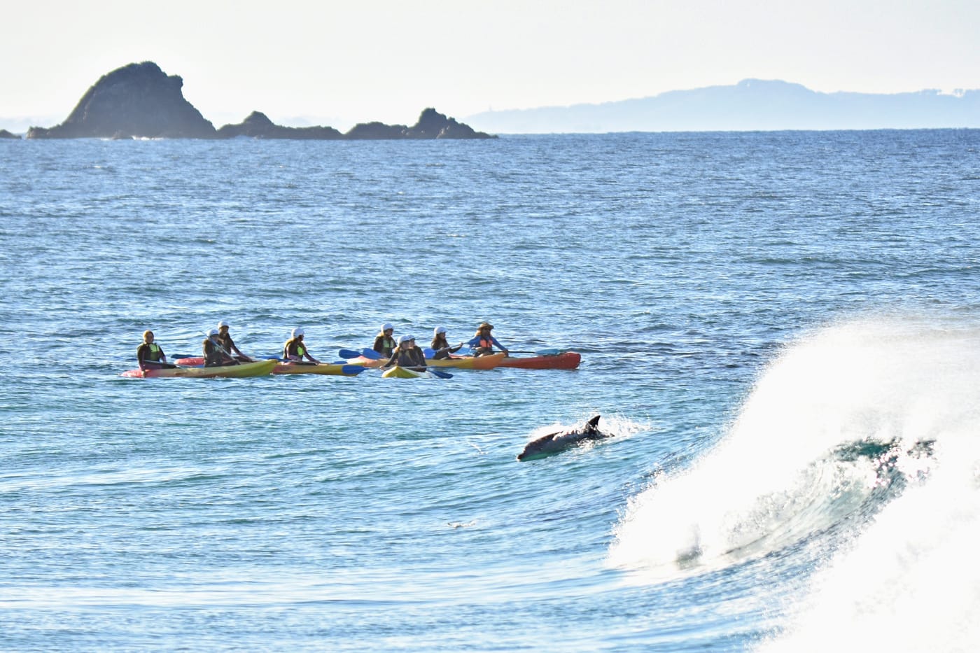 Byron Bay Sea Kayak Tour