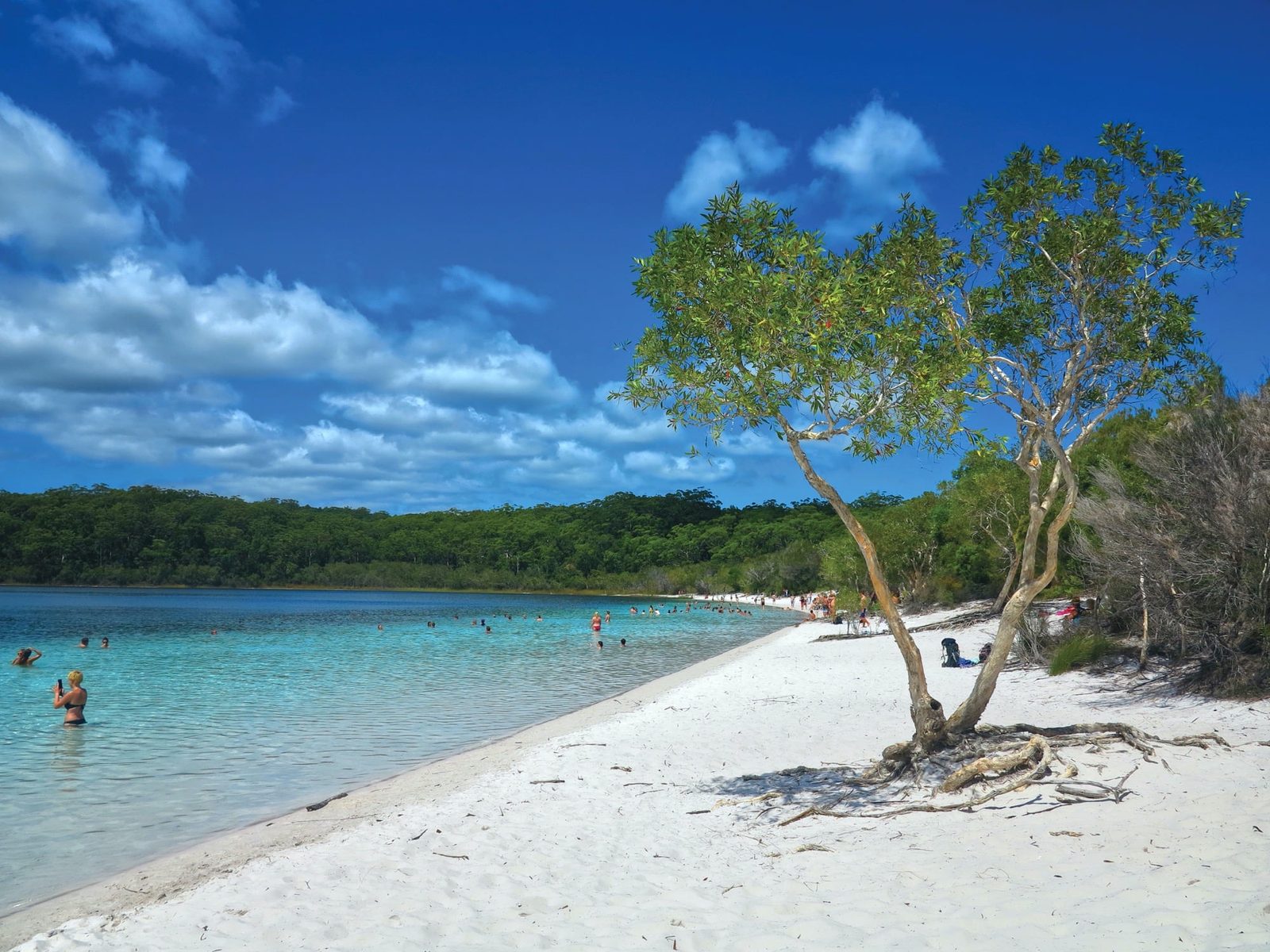 K'gari (Fraser Island) Premium Nature Day Tour, from Noosa or Rainbow Beach