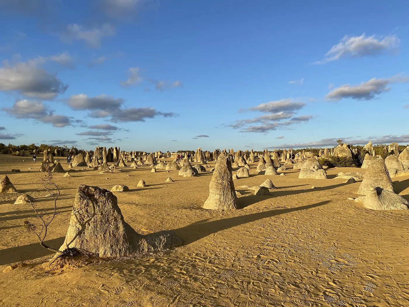 Limestone pillars of the Pinnacles Desert, Nambung National Park