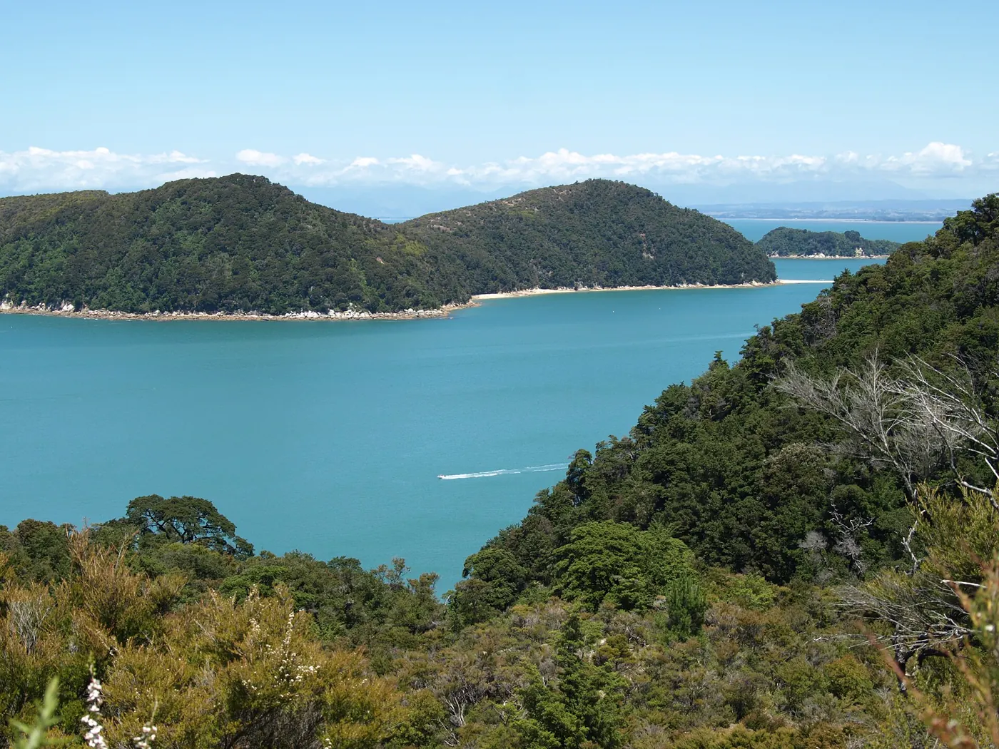Turquoise bay in Abel Tasman National Park
