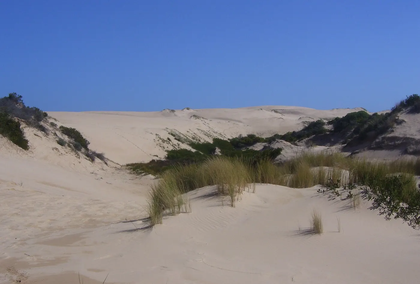 Sand dunes in Coorong National Park