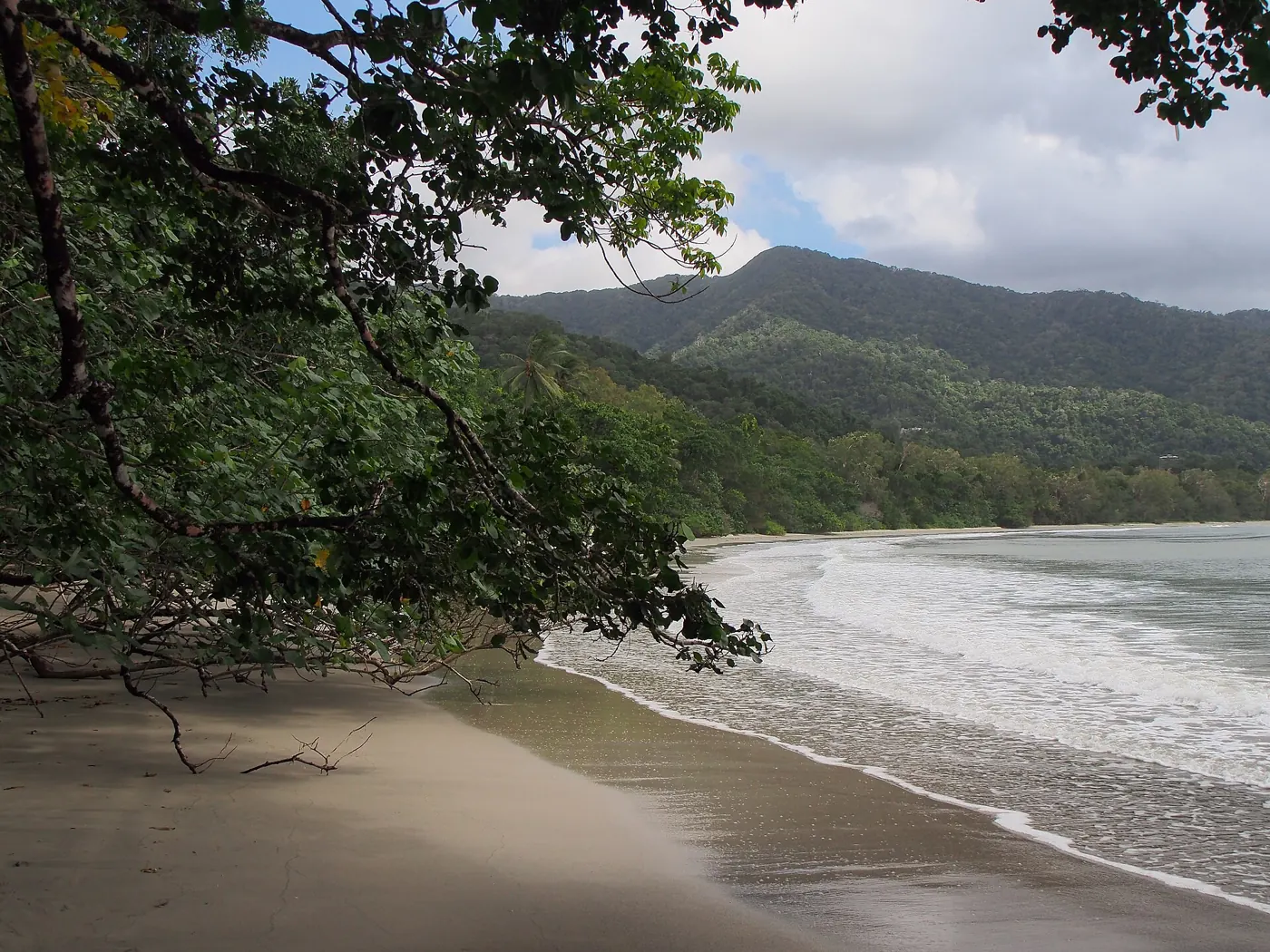 Rainforest meets the sea at Cape Tribulation, Daintree