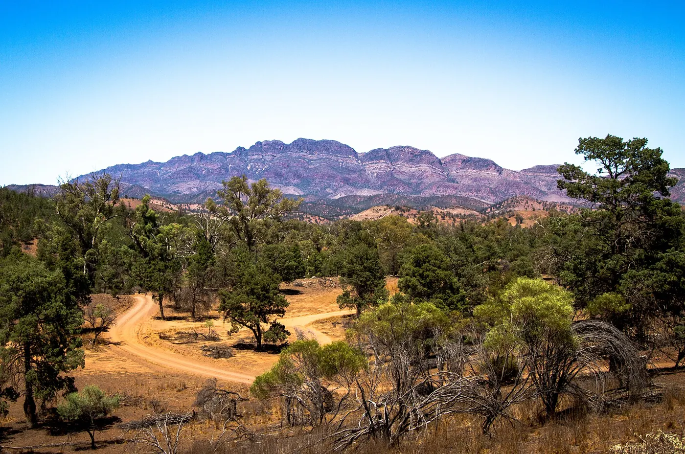 Wilpena Pound in the Flinders Ranges