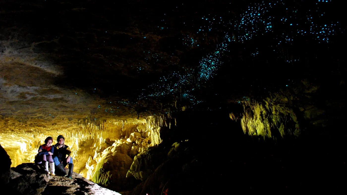 Glowworms lighting a cave ceiling at Waitomo